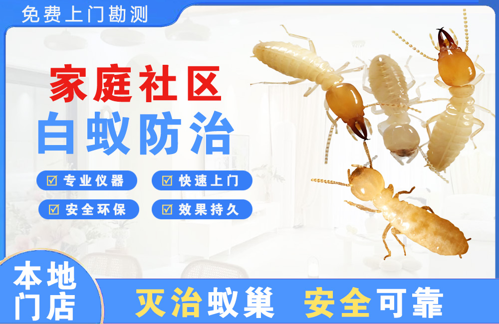 余姚家庭社区白蚁防治