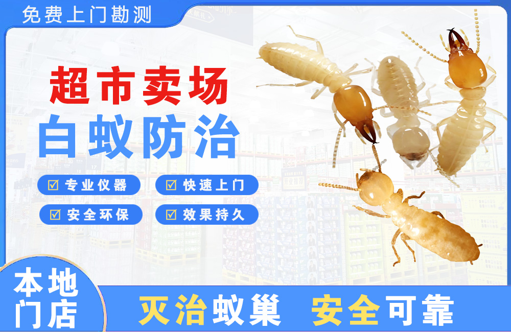 余姚超市卖场白蚁防治