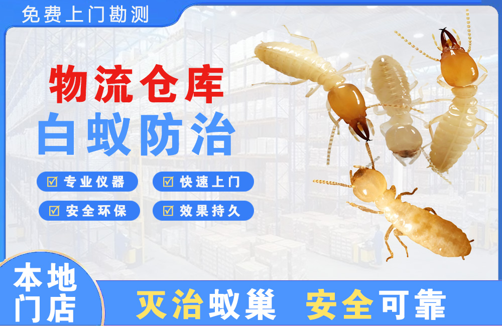 余姚物流仓库白蚁防治