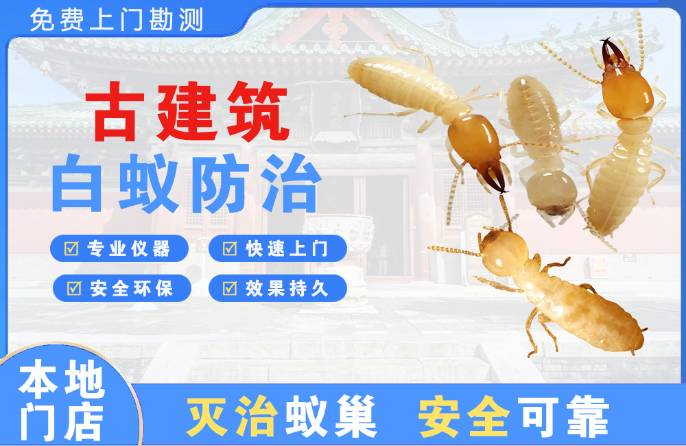 余姚古建筑白蚁防治