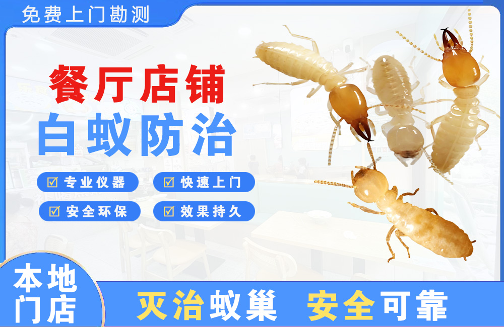 余姚餐厅店铺白蚁防治